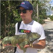 Mathe-Tutor für die Altersgruppe Klasse 1-9